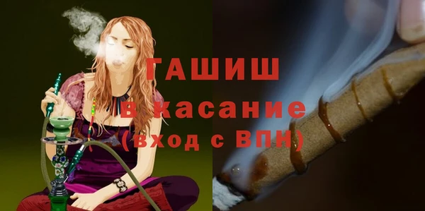 МДПВ Бородино