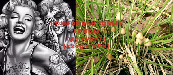 MESCALINE Верея