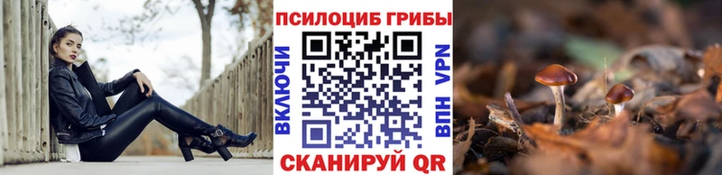 Псилоцибиновые грибы ЛСД  Купить где  Горняк 